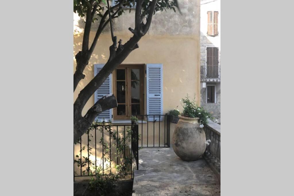 Appartement de charme à Olmeto Olmeto  Extérieur photo